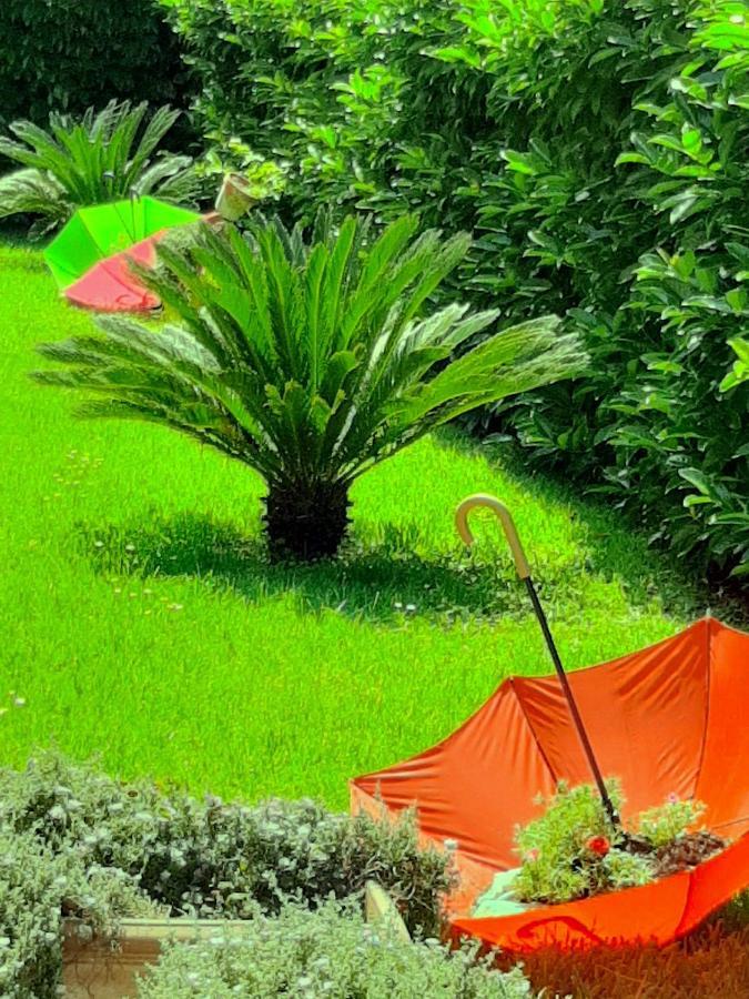 B&B Le Camerette Di Edda Cassino Zewnętrze zdjęcie