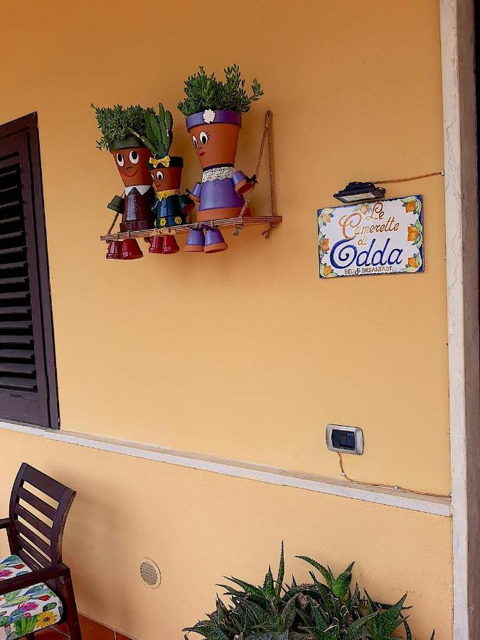 B&B Le Camerette Di Edda Cassino Zewnętrze zdjęcie